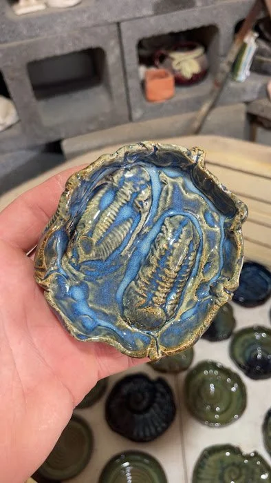 TT 2 trilobites.JPG