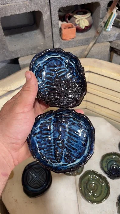 TT lg trilobite.JPG