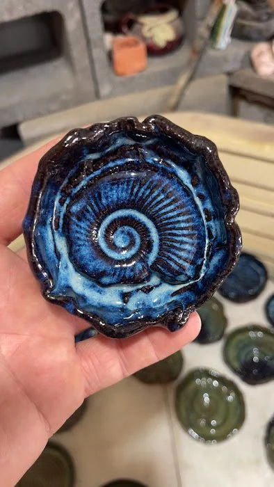 TT ammonite fb.JPG