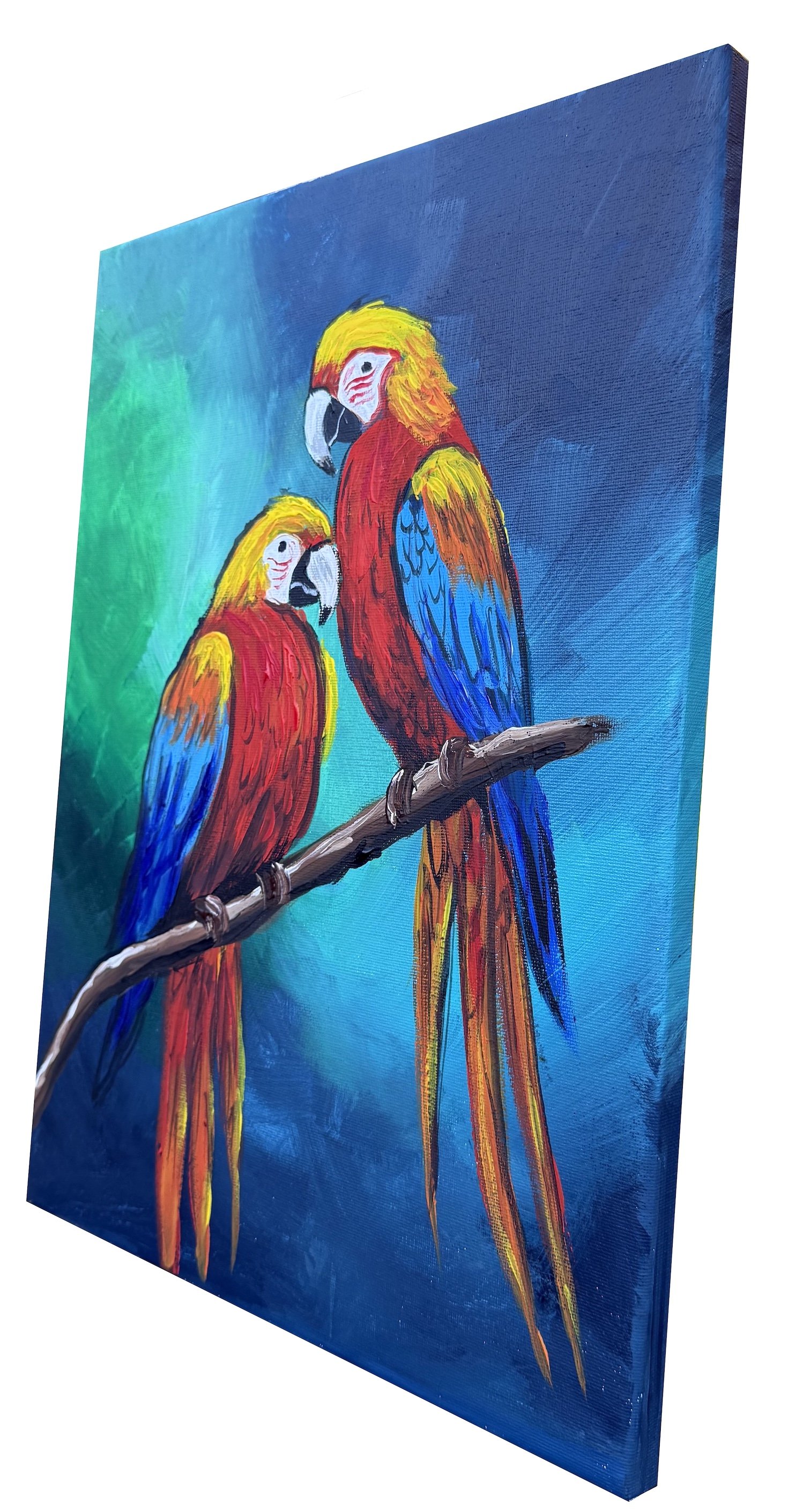 vibrant macaws side.jpeg