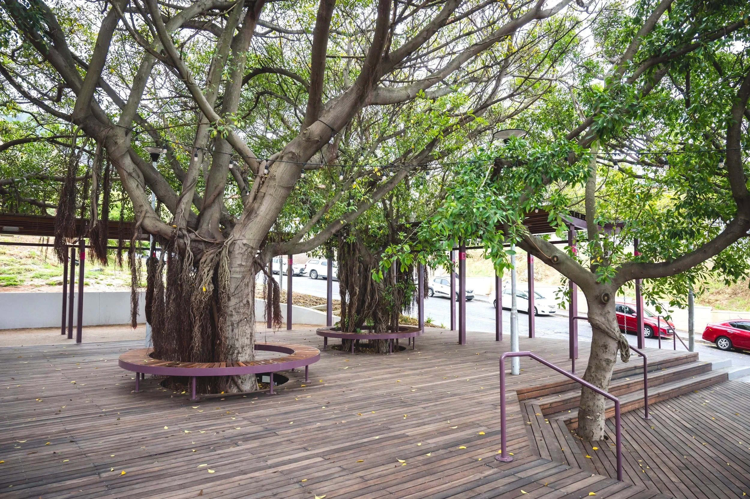 Bo-Kaap Market Cape Town Public Space Upgrade