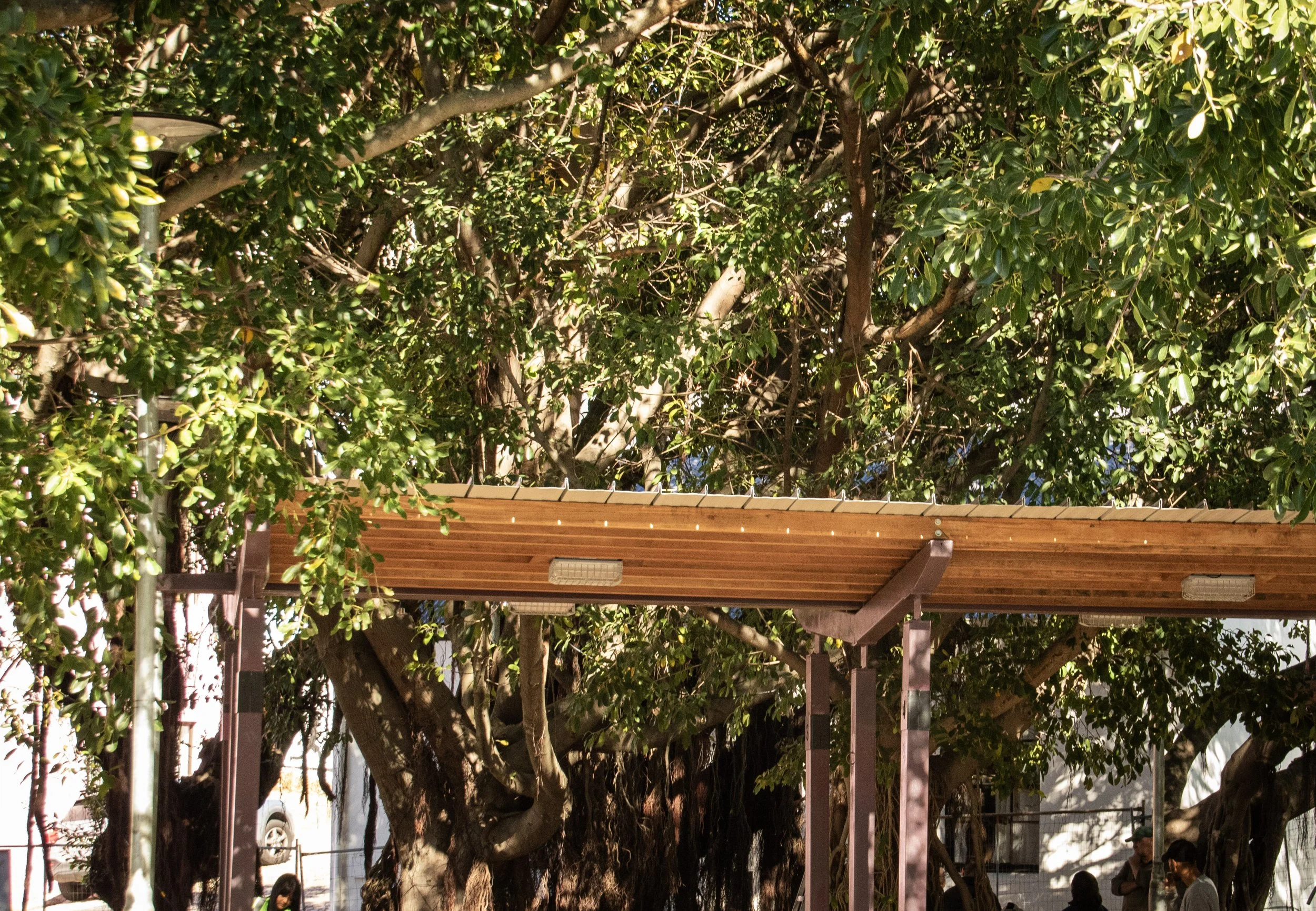 Bo-Kaap Market Cape Town Structure