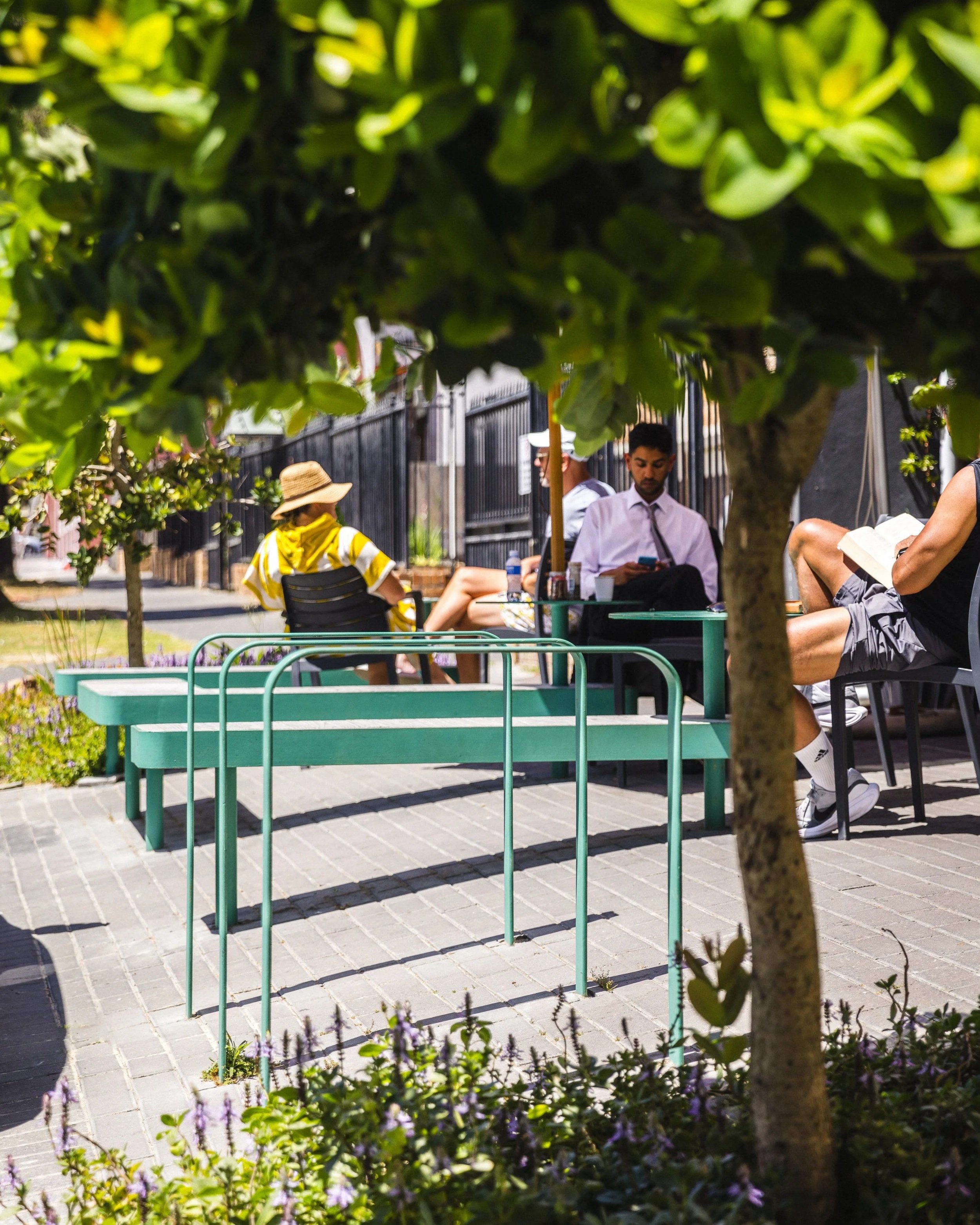People sitting outdoors on benches under shaded trees, some reading and others using their phones, in a sunny park setting.