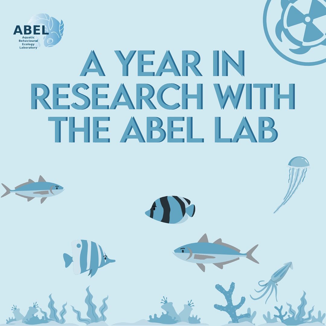 Hey Macsci! To close off the 2022-2023 academic year, we&rsquo;ve decided to look back on A Year In Research with the Aquatic Behavioural Ecology Lab! Lead by Dr. Sigal Balshine, the ABEL lab produces a wide array of publications regarding behavioura