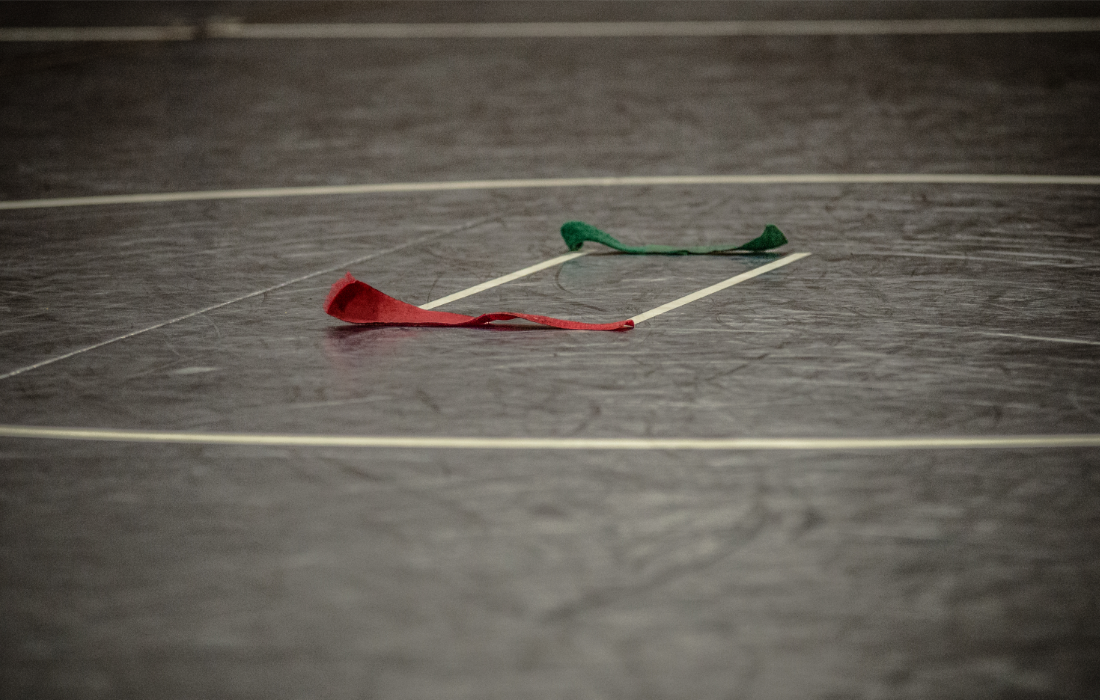 Notable wrestlers not competing in districts