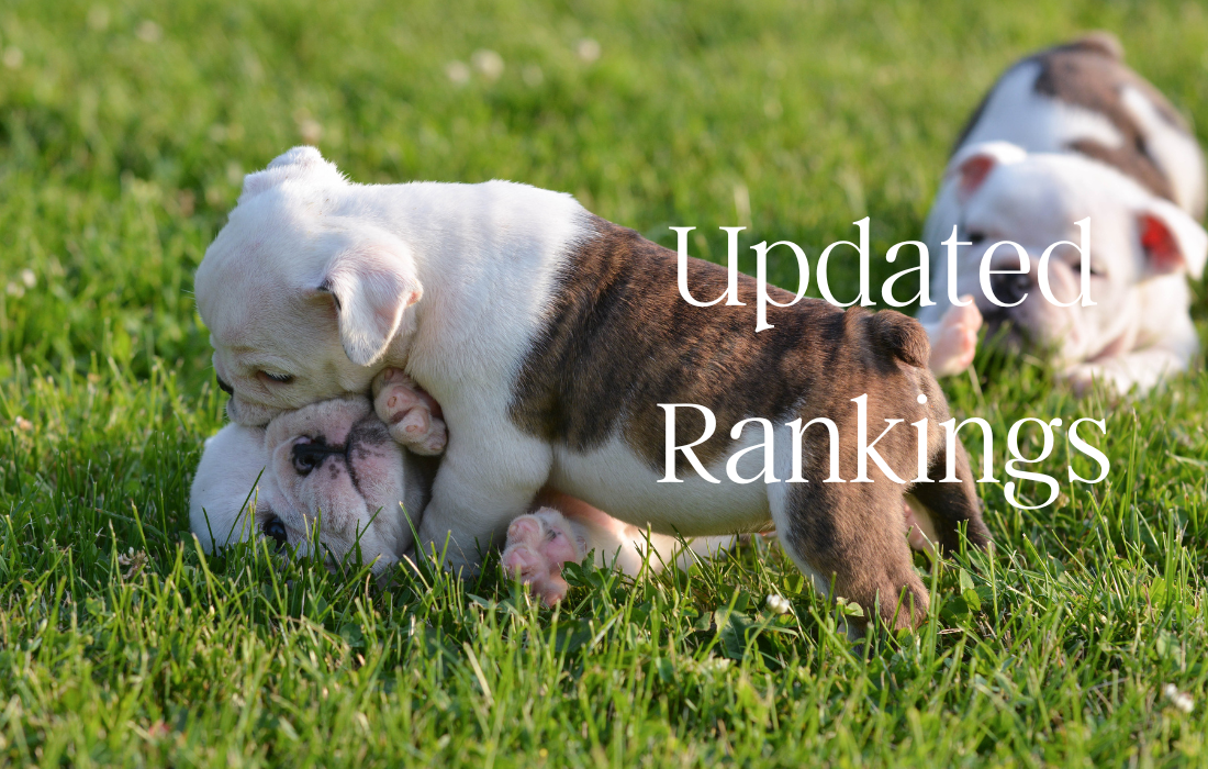Kabra+: Updated Girls Class 1A Individual Rankings