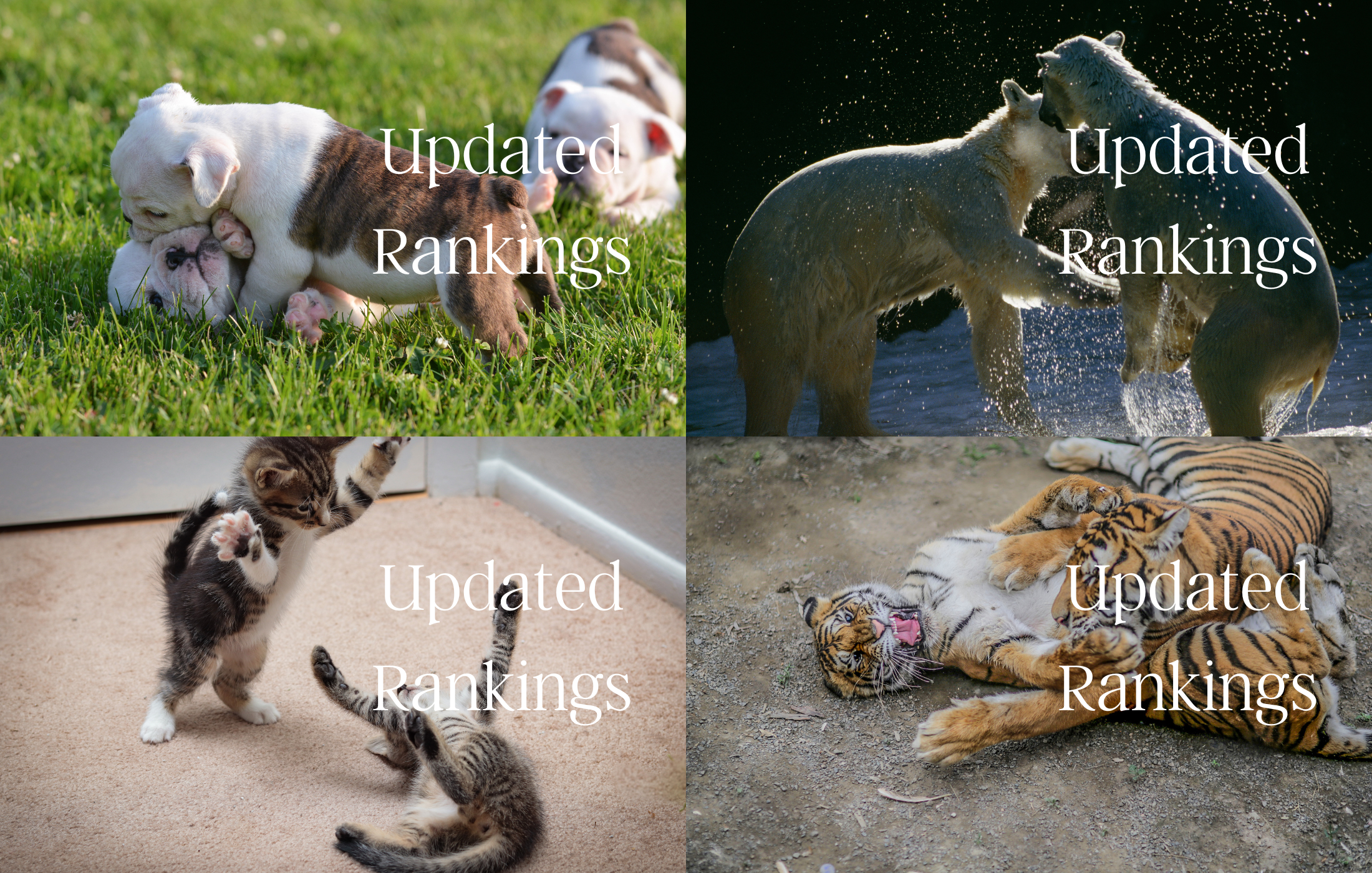 Which rankings thumb was your favorite? 