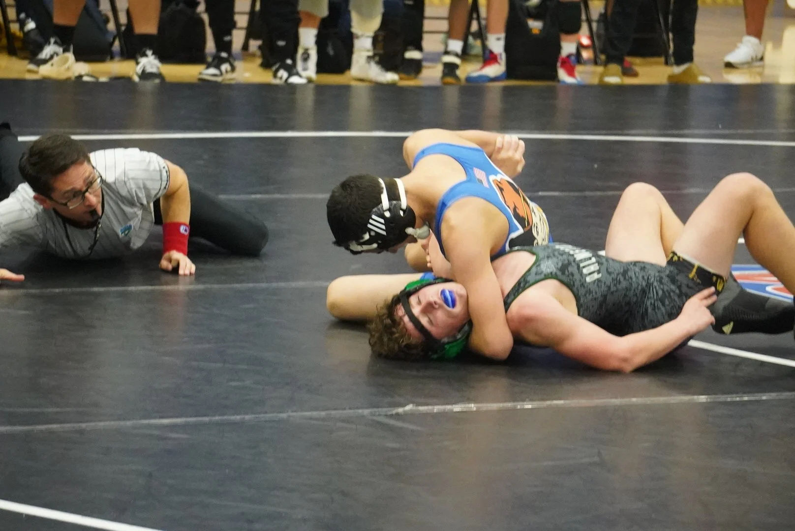 Textbook Kissimmee Osceola performance yields region duals title