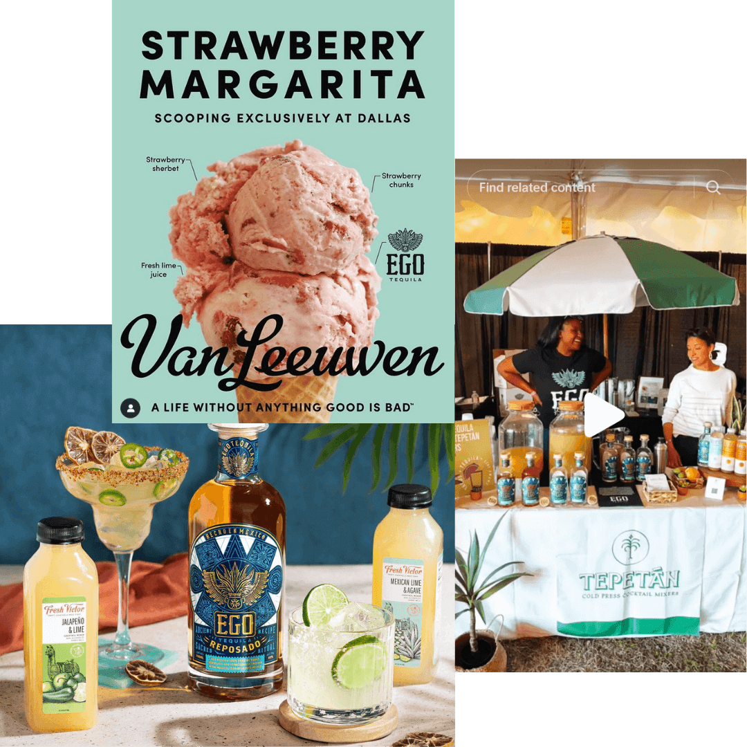 EGO Partnership Examples