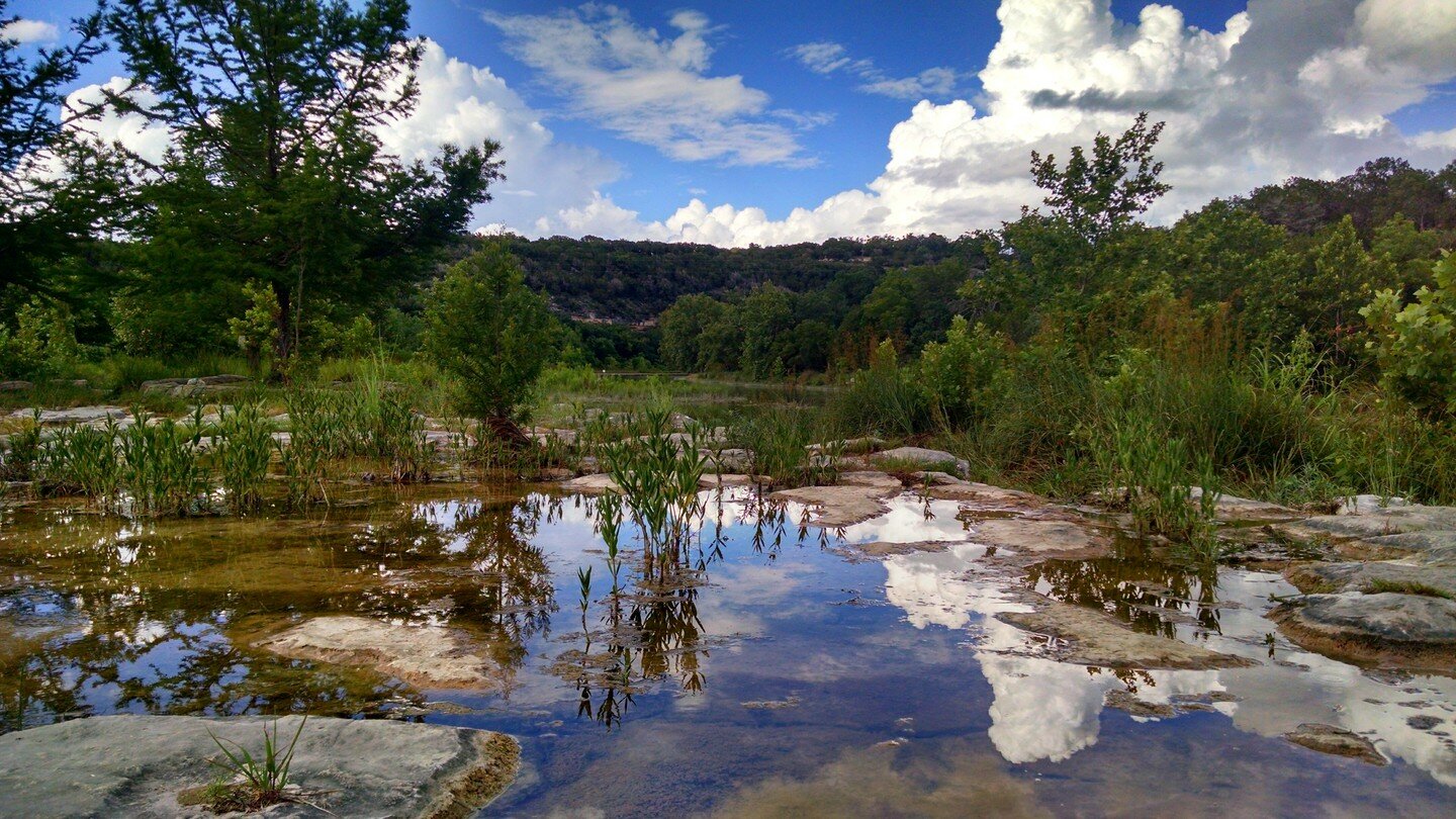 I took this photo in June 2015, the month before beginning med school, in the place where I feel the closest to nature. It's in the Texas Hill Country, and there is something incredible about hearing nothing other than the sounds of flora and fauna. 