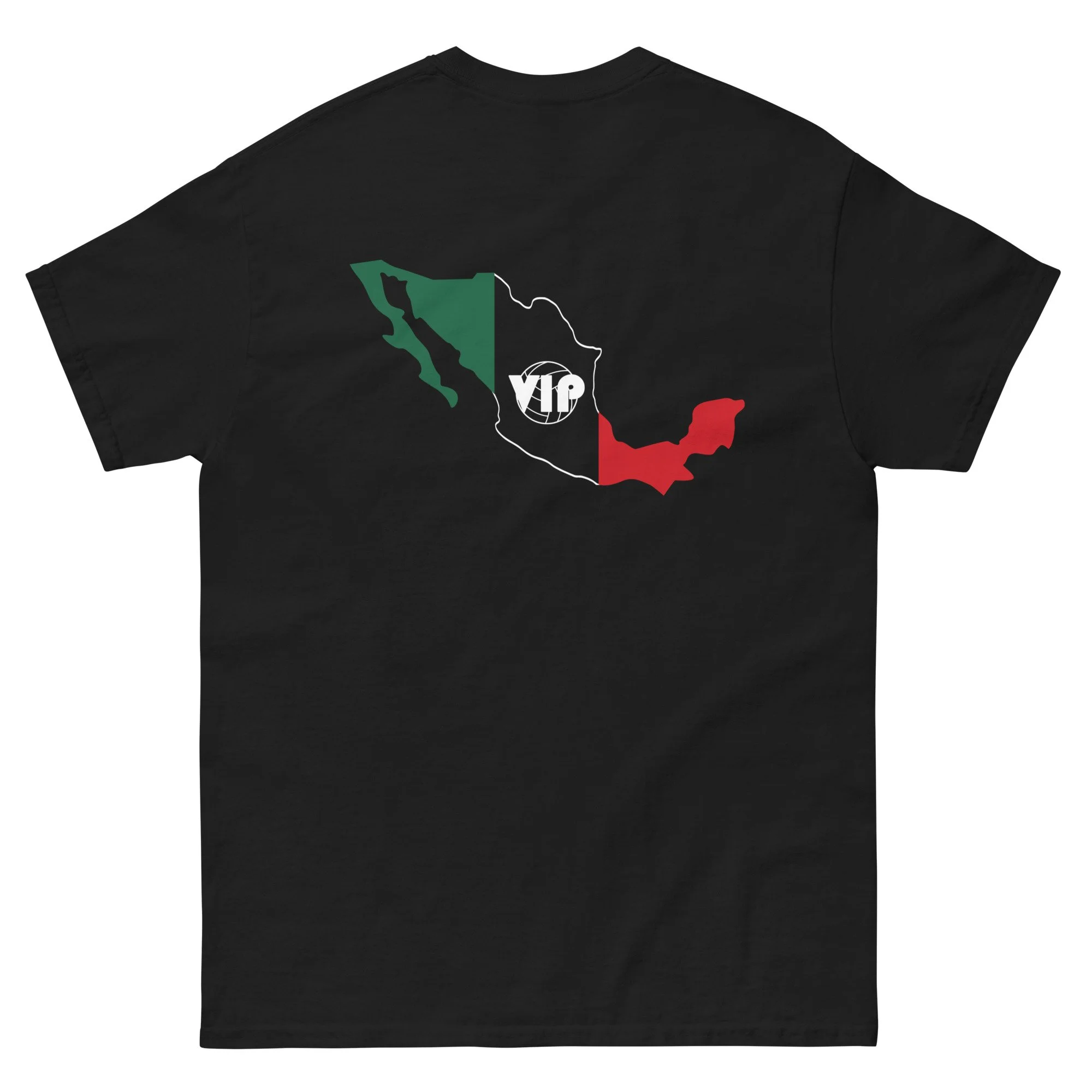 unisex-classic-tee-black-back-66a1b164e31d0.jpg