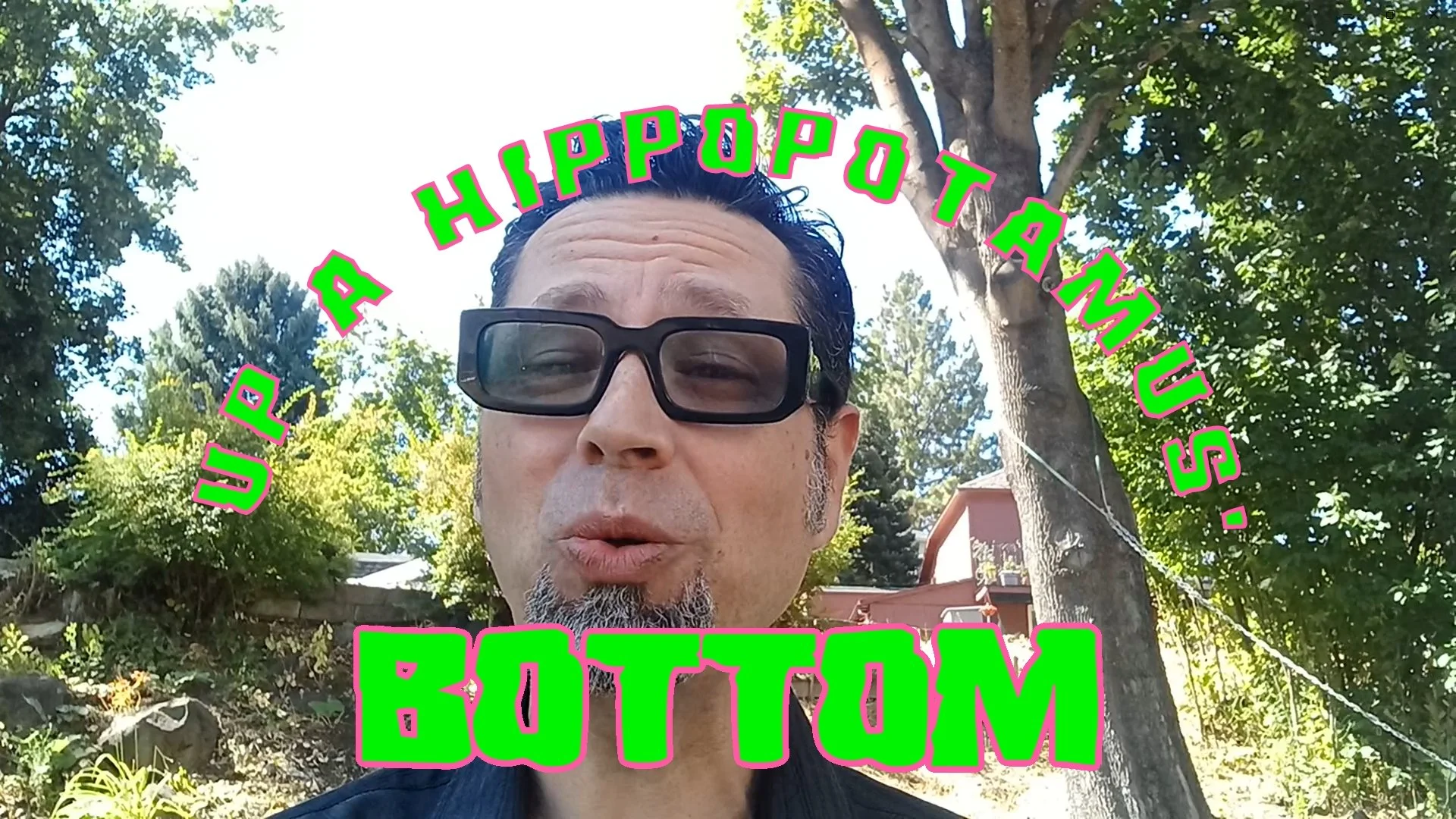 Up A Hippopotamus’ Bottom