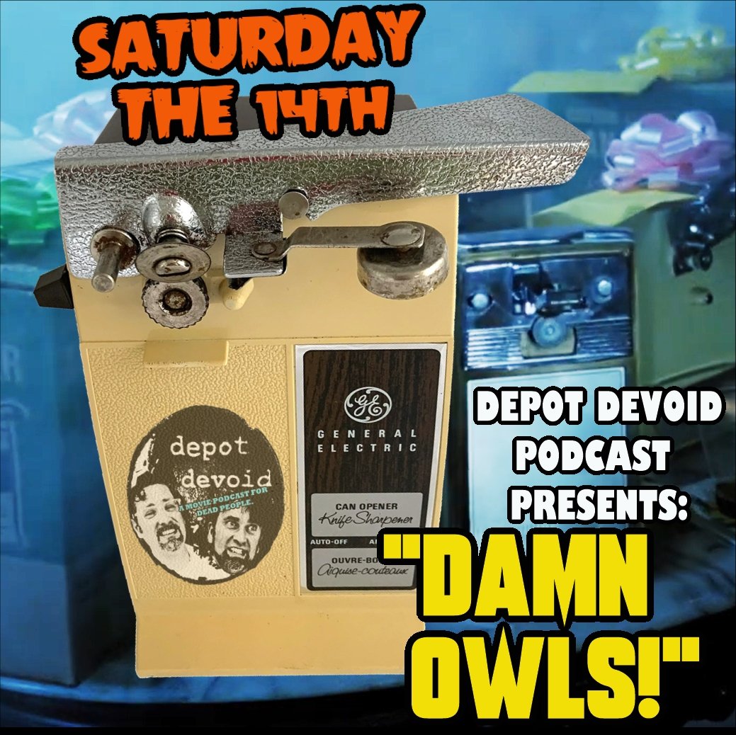 "Damn Owls!"