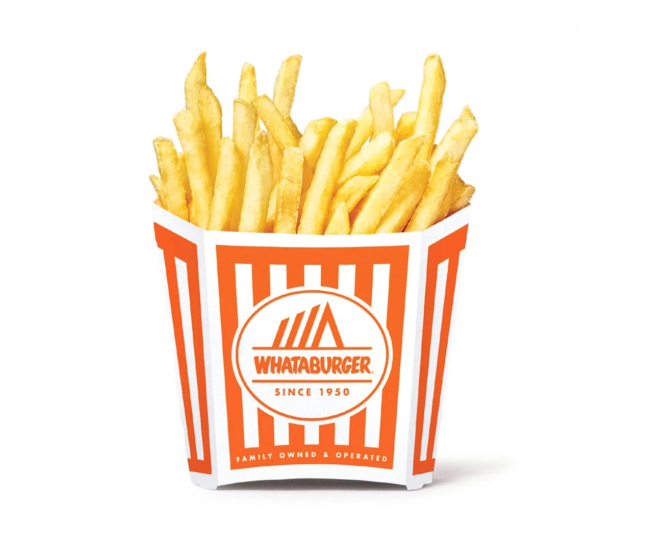 WhataburgerProjects-fries-2.jpg