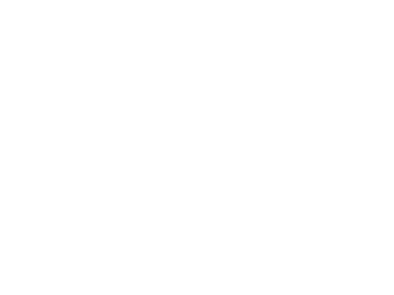 ritz carlton.png
