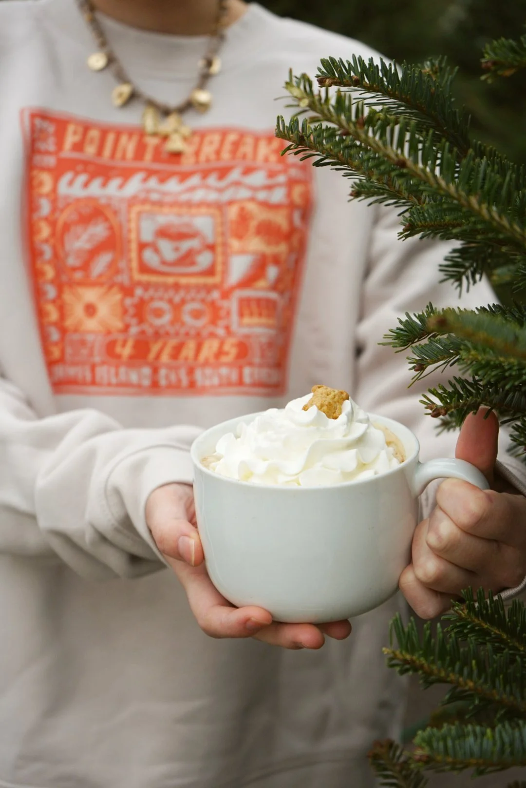 Person holding a white mug with whipped cream and a small cookie topped with a Christmas tree branch in the foreground.