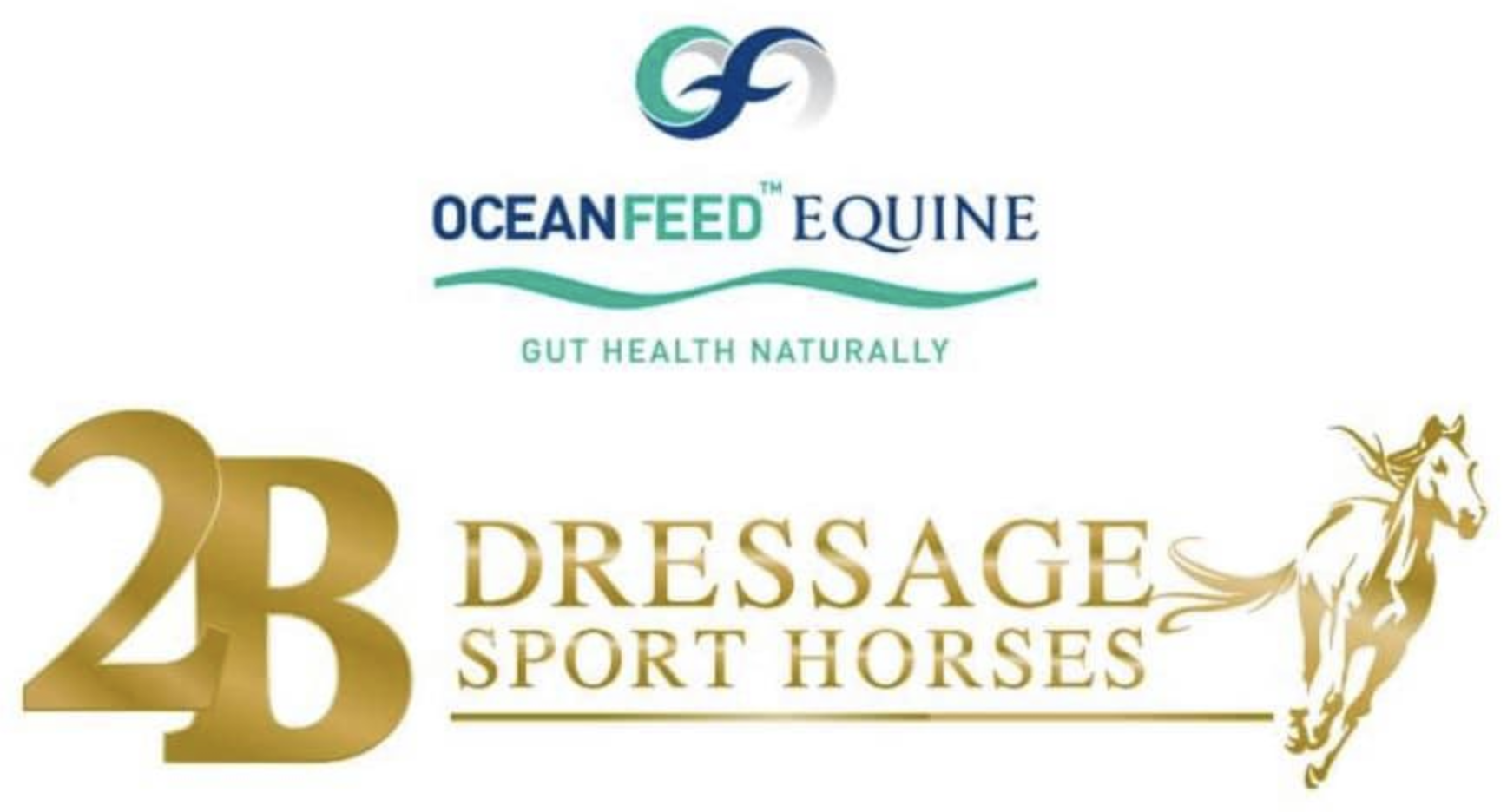 Screen Shot 2021-06-21 at 11.43.59 AM.png