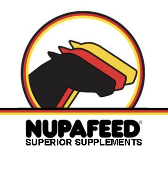 Screen Shot 2021-06-19 at 11.31.00 AM.png