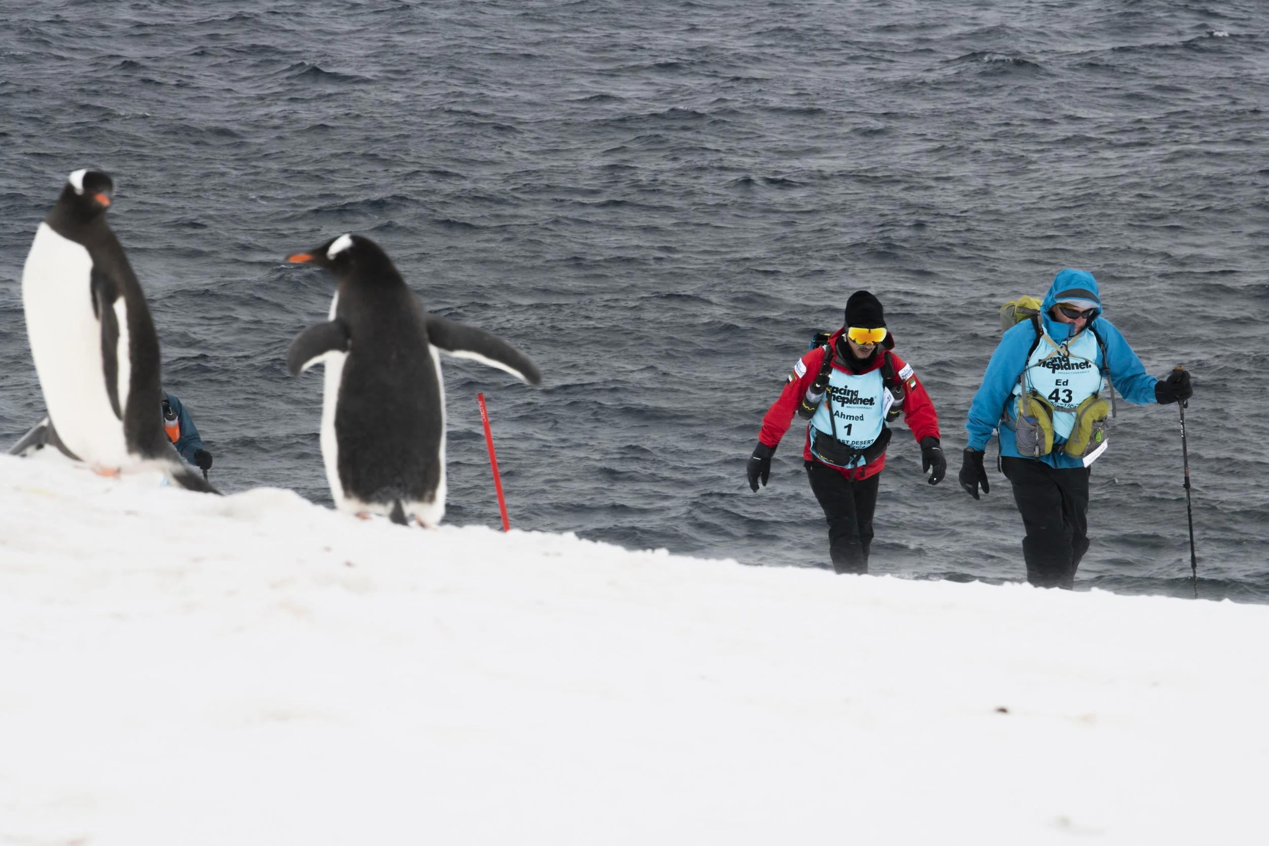 THE LAST DESERT (ANTARCTICA)   ANTARCTICA'S ONLY MULTI-STAGE FOOTRACE