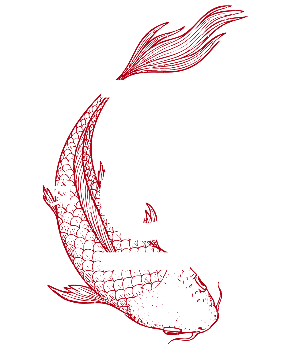 Koi Media Productions