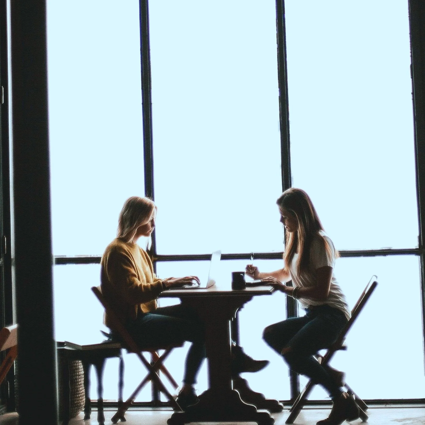 SmartSitter Mentor Program