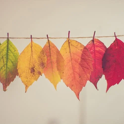 4 fun Thanksgiving activities for preschoolers