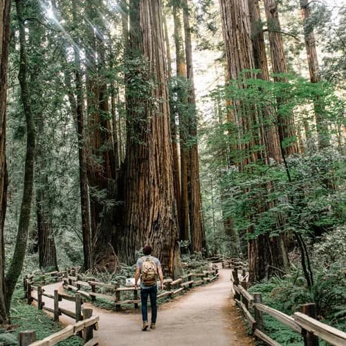 When to give notice for a nanny job