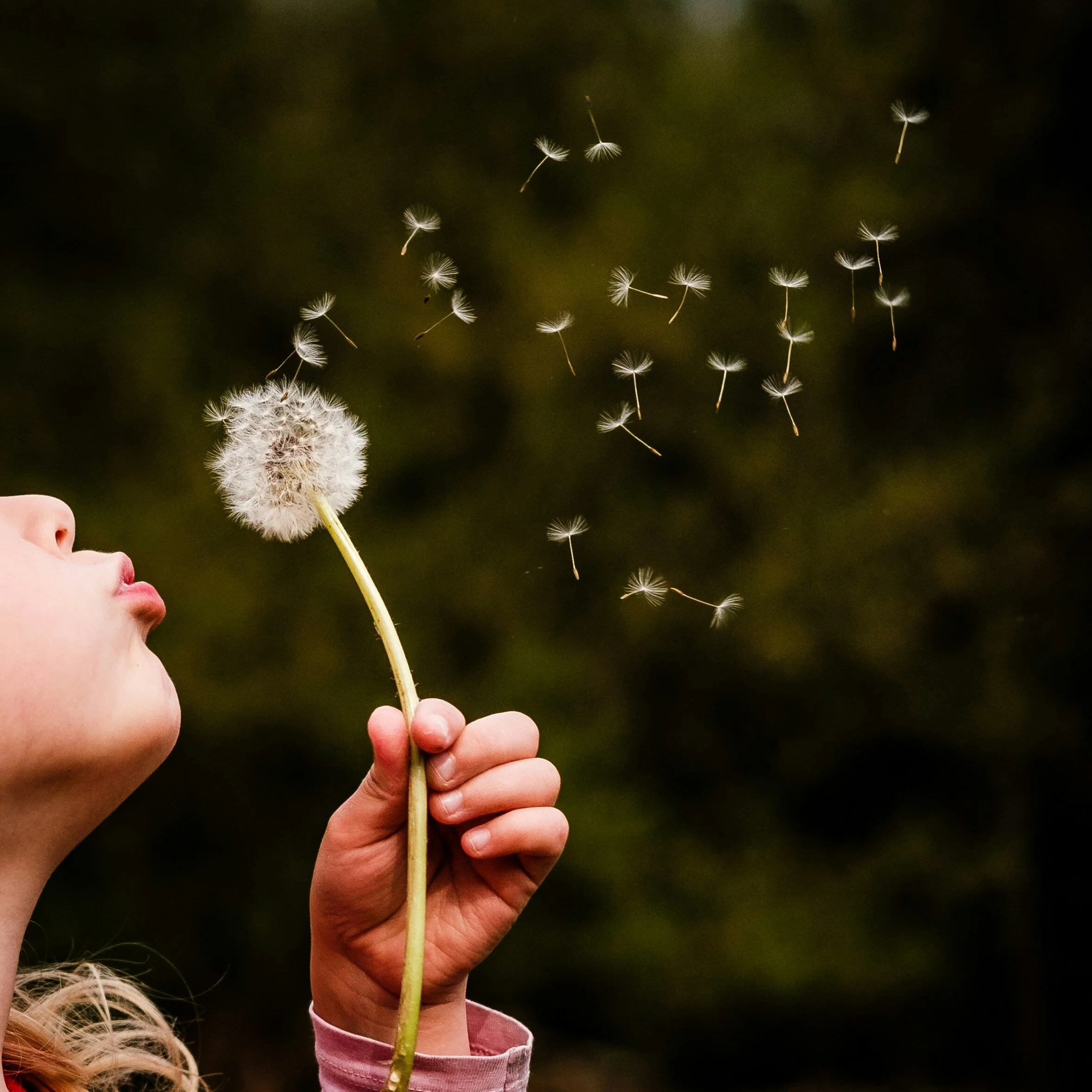 Understanding Allergies in Kids: A Guide for Parents