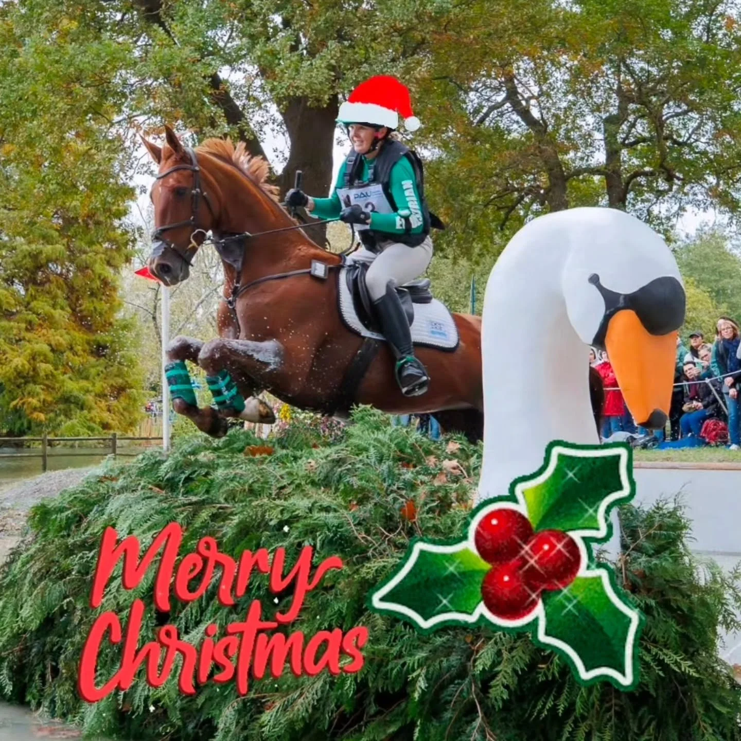 Merry Christmas 🎄🎁 and Happy Holidays 🥰🎉
@btbequestrian 
@keyflowfeeds 
@equineamerica 
@kevin_bacons_uk 
@breatheazy_uk 
#christmaspresents🎁 
#merrychristmas 
#happyholidays❤️ 
#christmas2025✨️❣️🎄