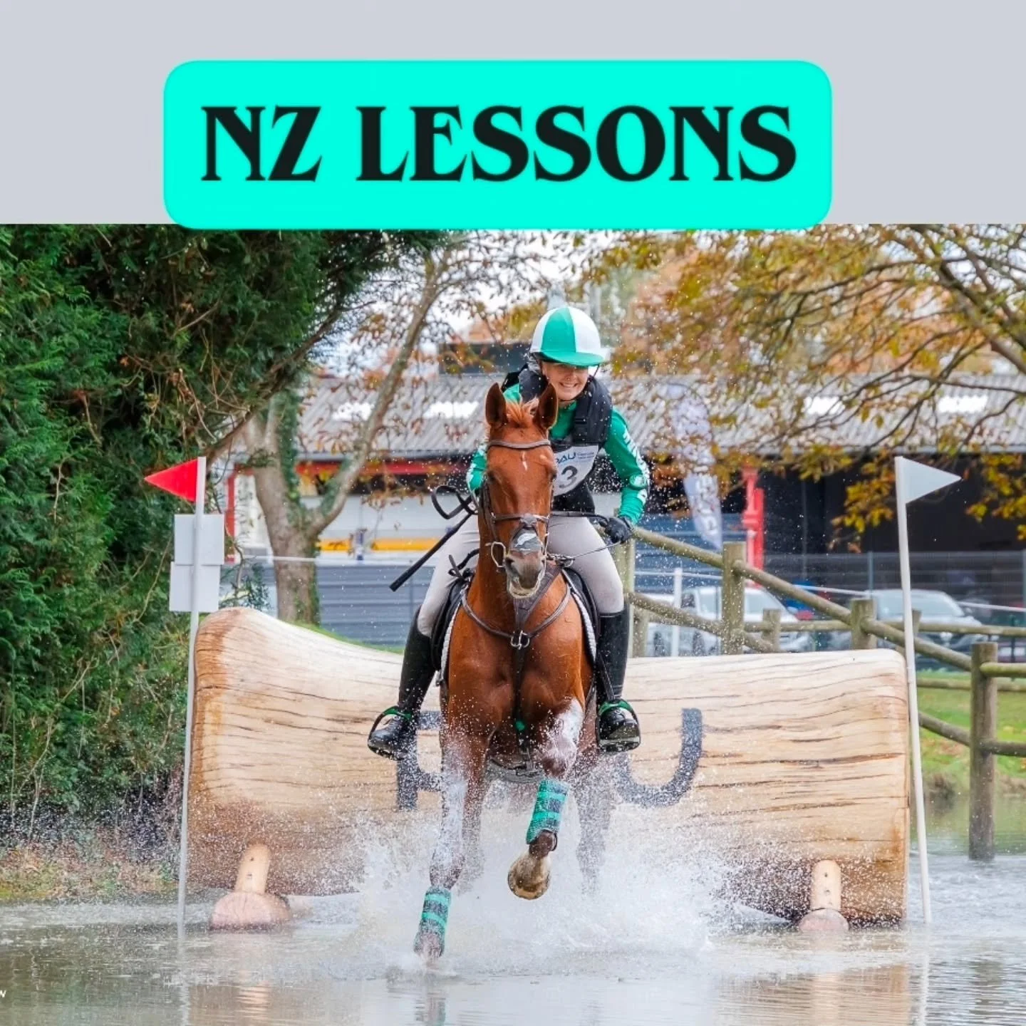 🦄 NZ Lessons 🇳🇿

We were thrilled that our @btbequestrian Christmas Cracker Clinic filled up so quickly. And so I am offering some extra individual lessons early in the new year. These are limited and unfortunately the only time I can fit them.

W