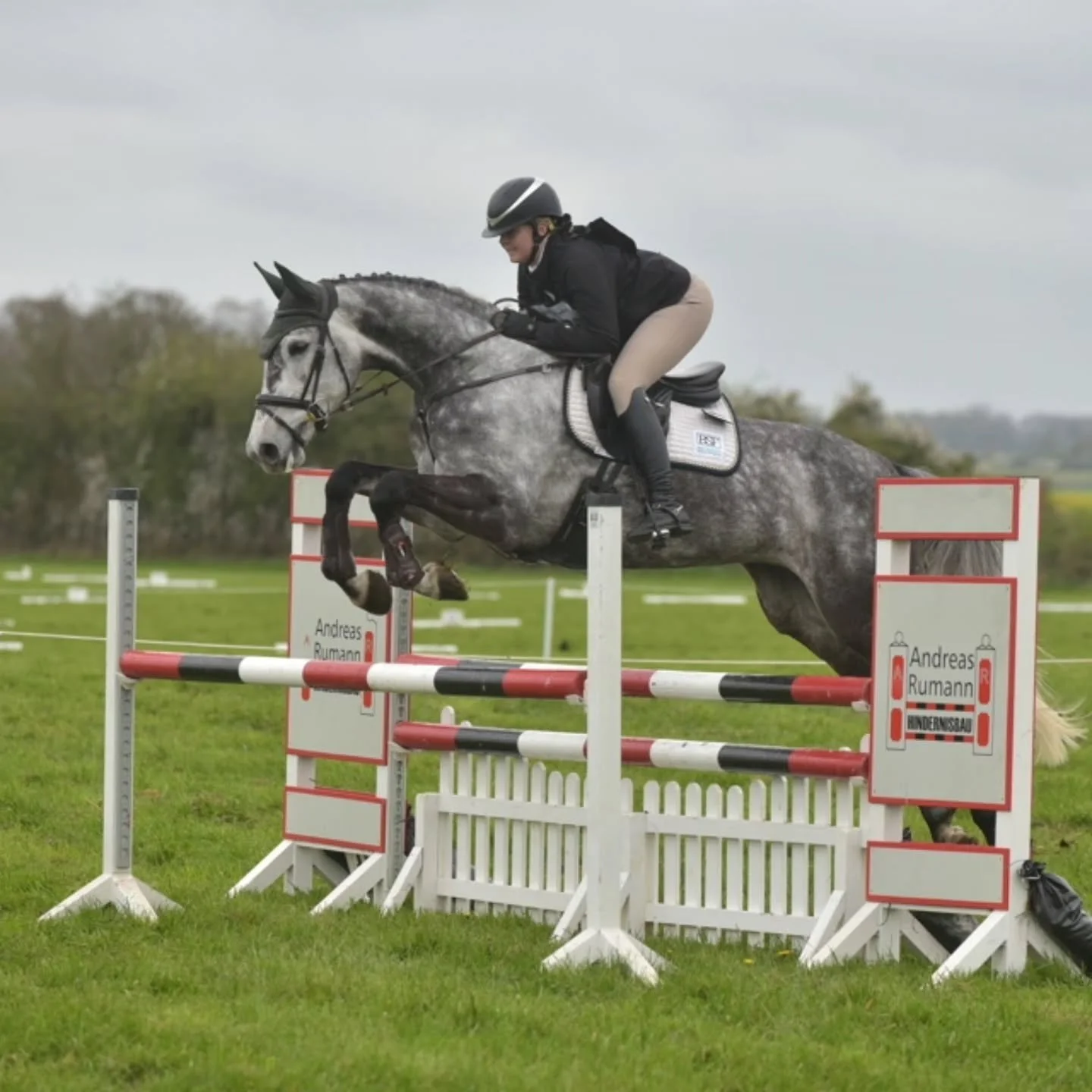 🌀Oxstall HT 🌀

It was a windy rainy day at Oxstalls on sat but that didn't dampen NPS Nebraskas performance. Double clear in her first novice 👏🥳 still making the jumps look small 😅

She felt amazing out there and it was so nice to have her step 
