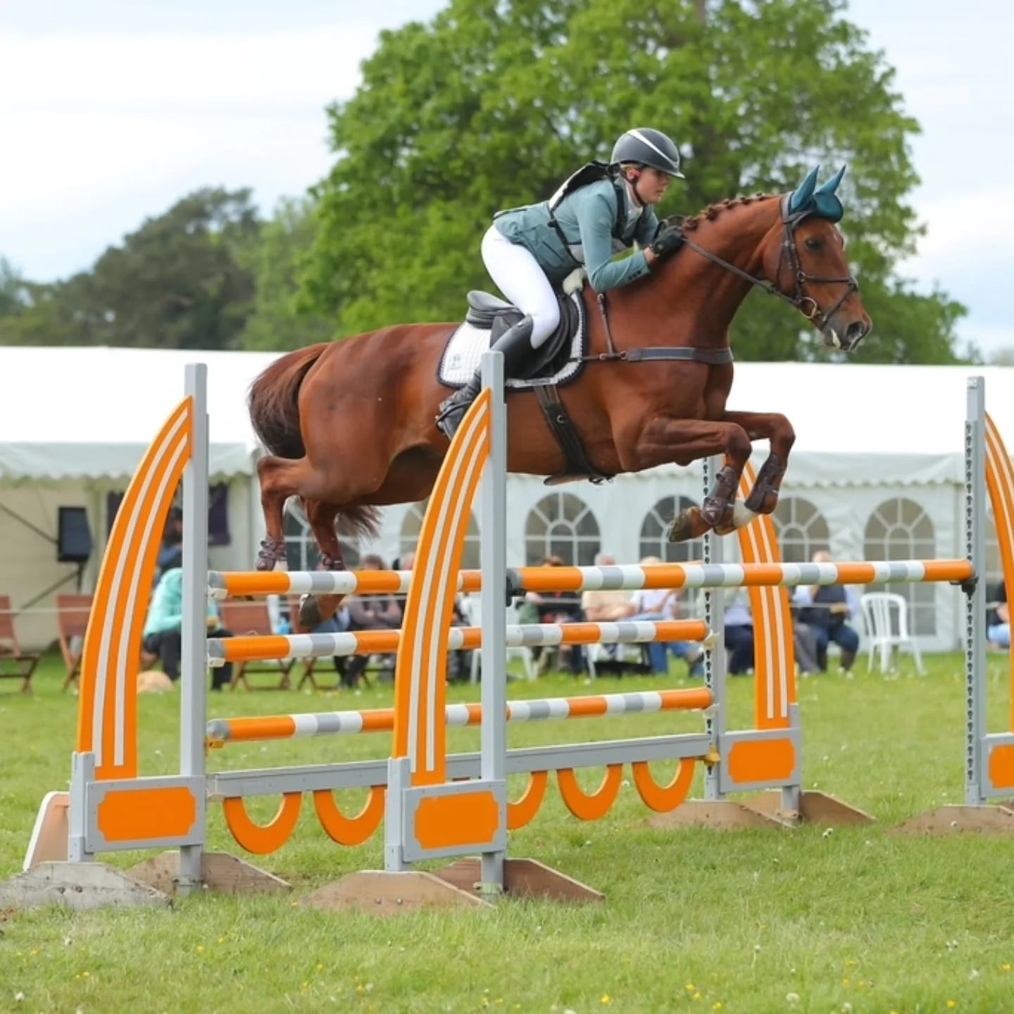 🏞 Cirencester Horse Trials 🏞

The girls were unreal on Sunday and I feel so lucky to have them both on my team &hearts;️ 

NPS Nebraska a.k.a Fancy Nancy scored a PB on the flat for 30.8 and jumped a fast double clear 🏅 no placings in the competiv