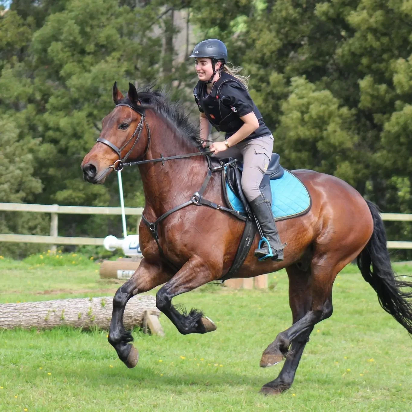 Dragon Equestrian Jump Park Derby Day