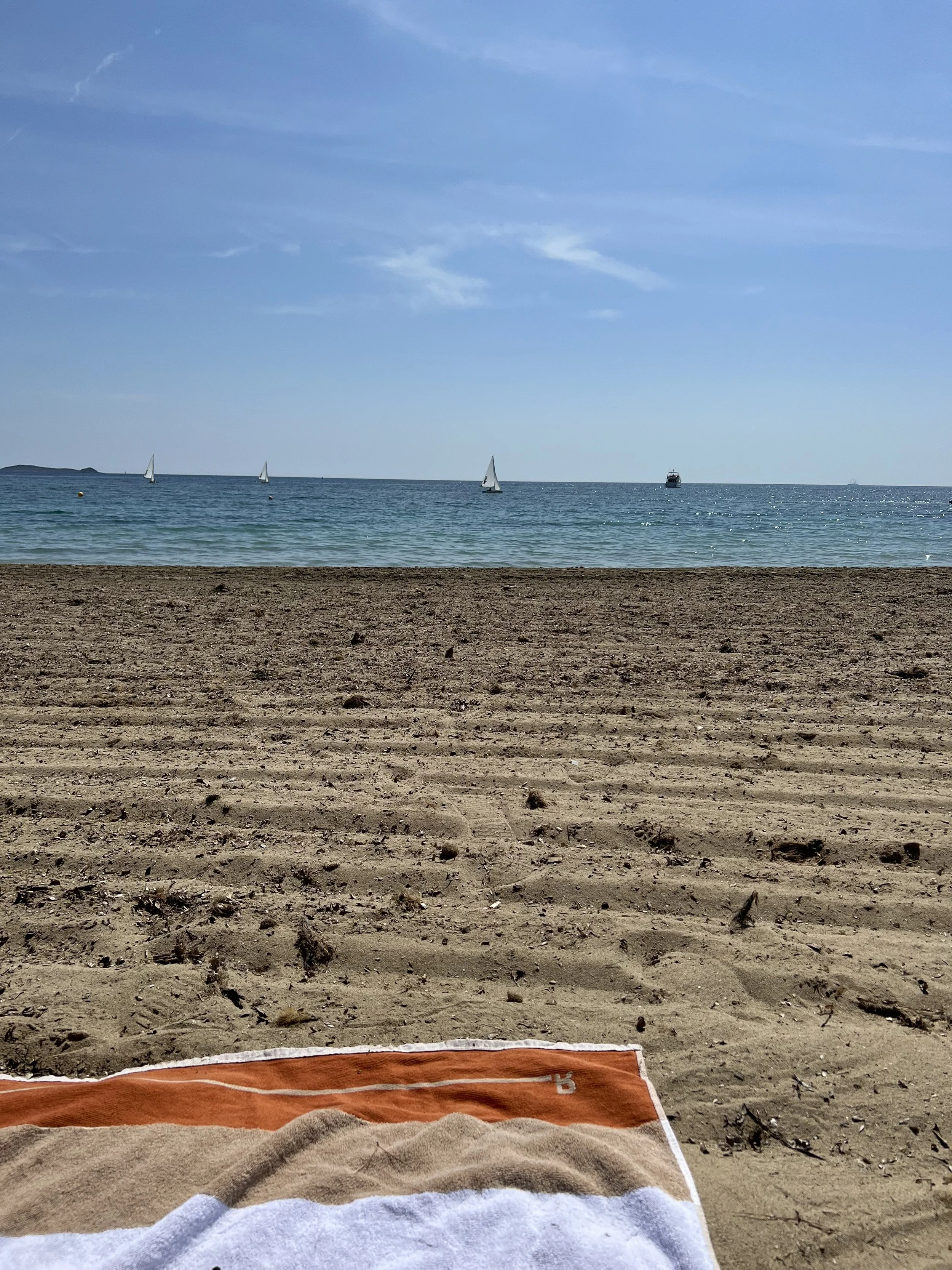 IMG_1330.jpeg