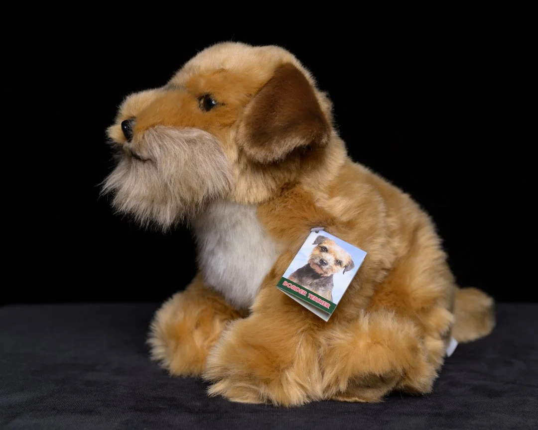 bt-3.jpg