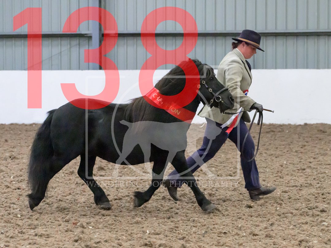 ss-138.jpg