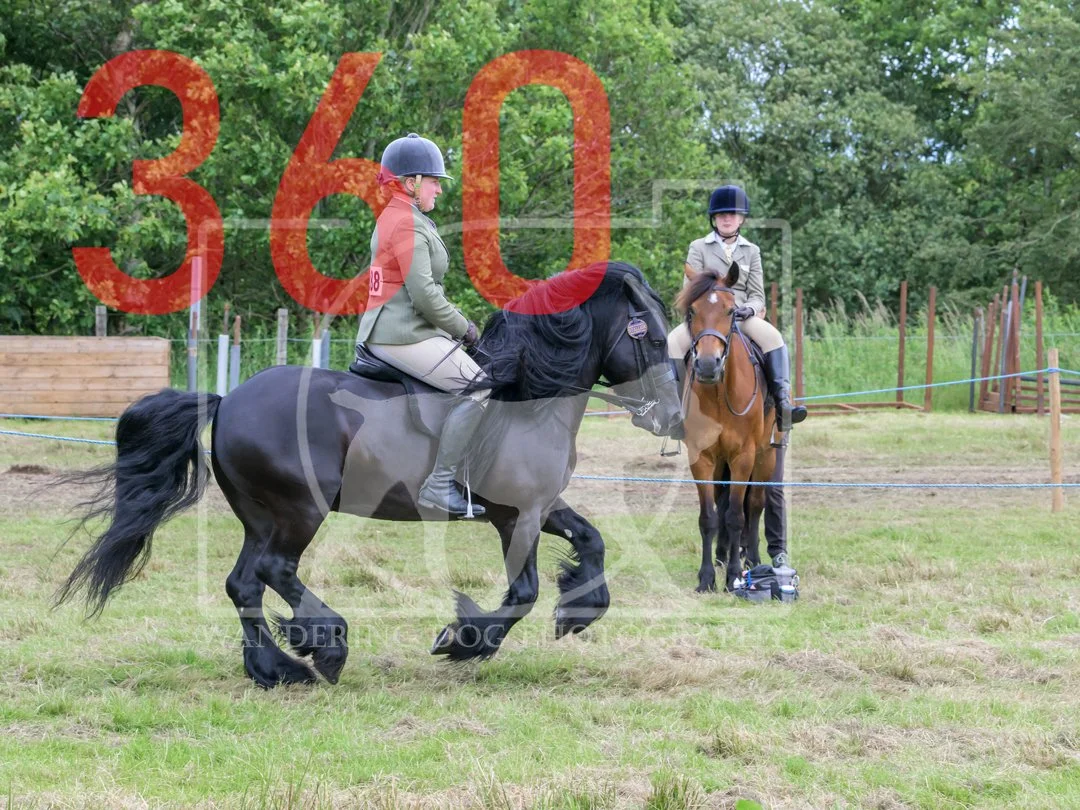 mm-360.jpg