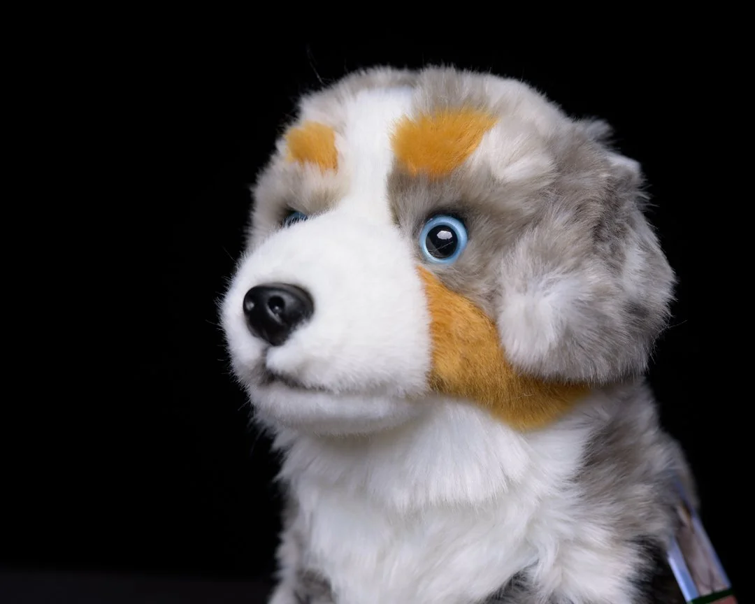 Soft plush merle Australian Shepherd Dog Aussie teddy dog soft toy