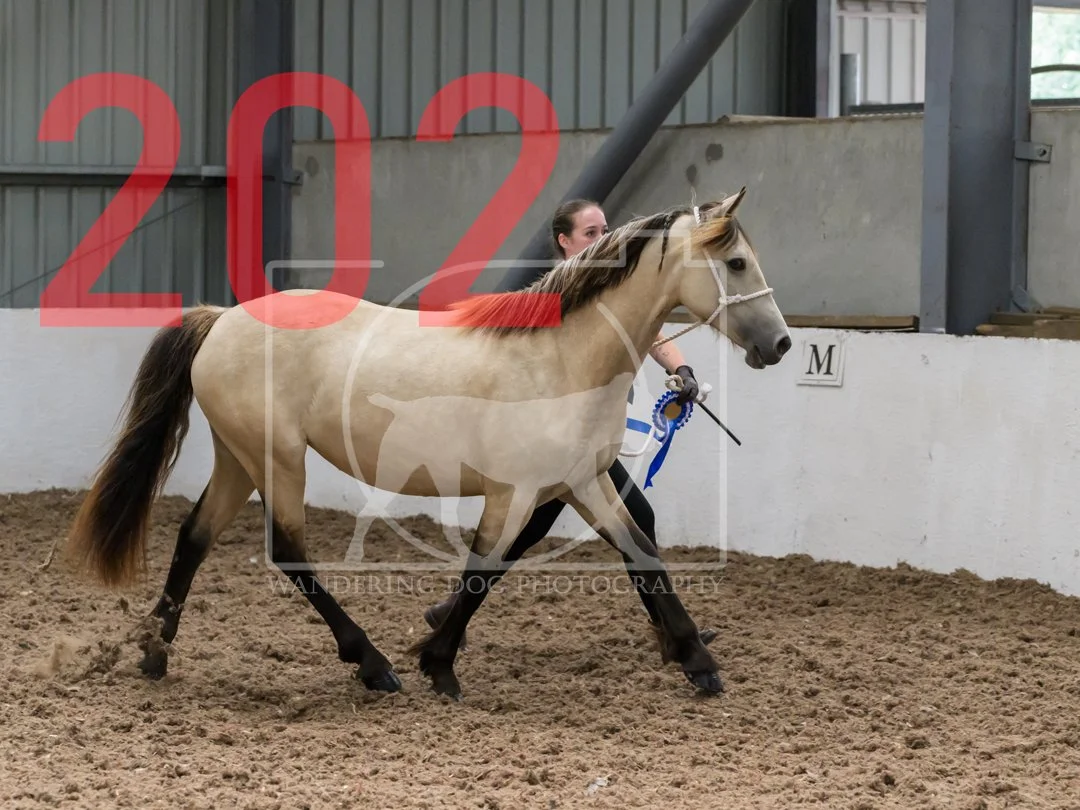 pc-202.jpg