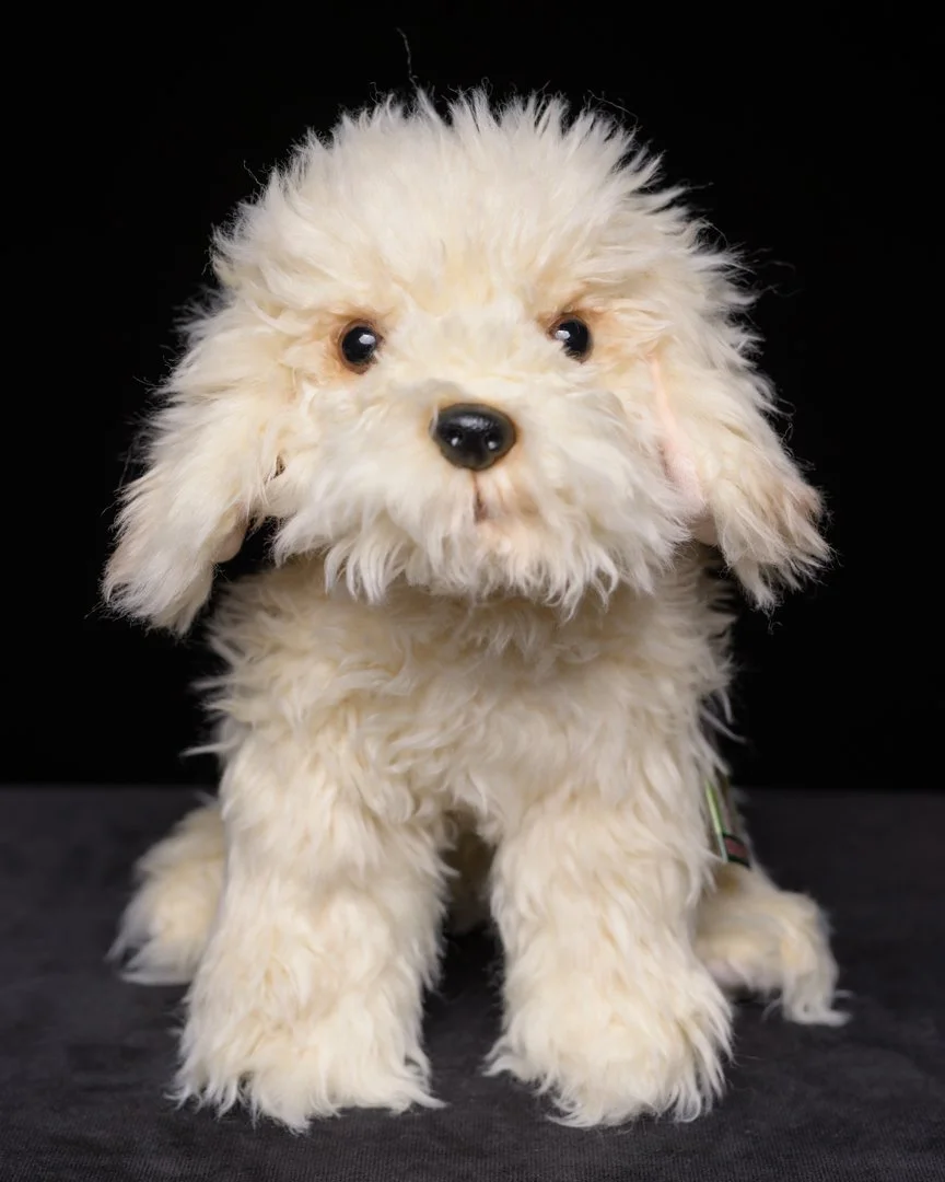 Soft stuffed cream Doodle / Poo dog teddy soft toy