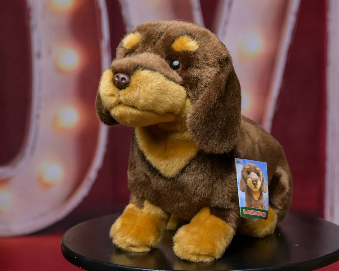 Chocolate and tan Dachshund plush soft toy
