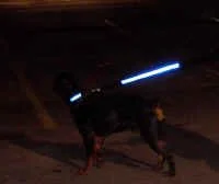 reflective blue.jpeg