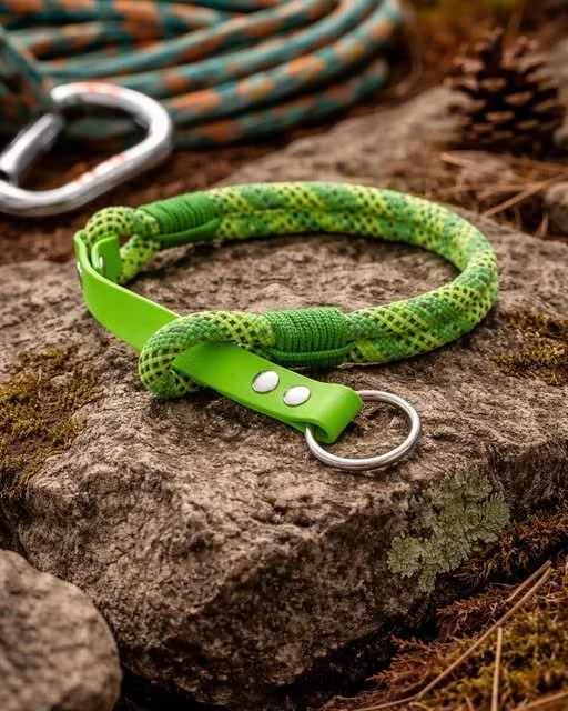 Built for the Wild: A Rugged, Waterproof Dog Collar That Lasts