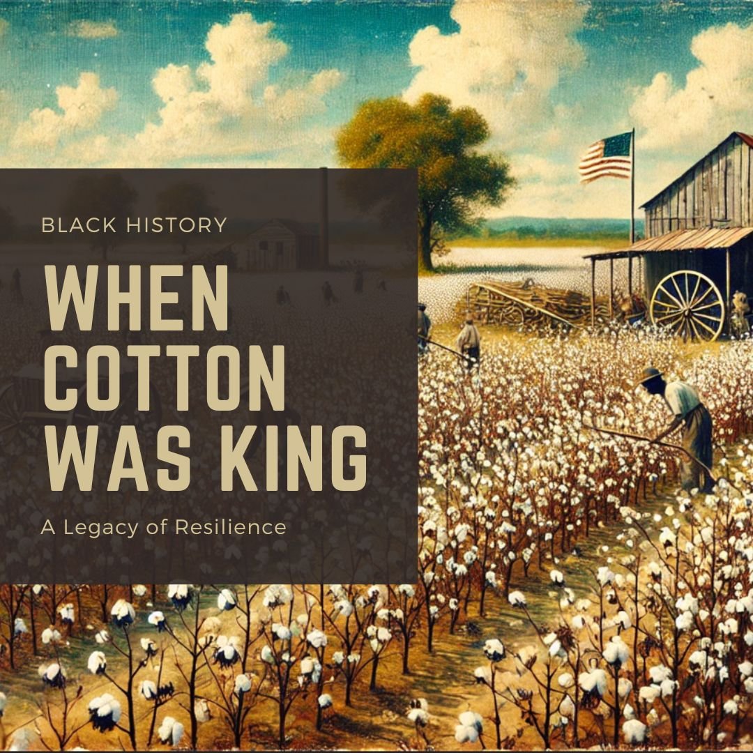 Cotton is/was King in Alabama?
