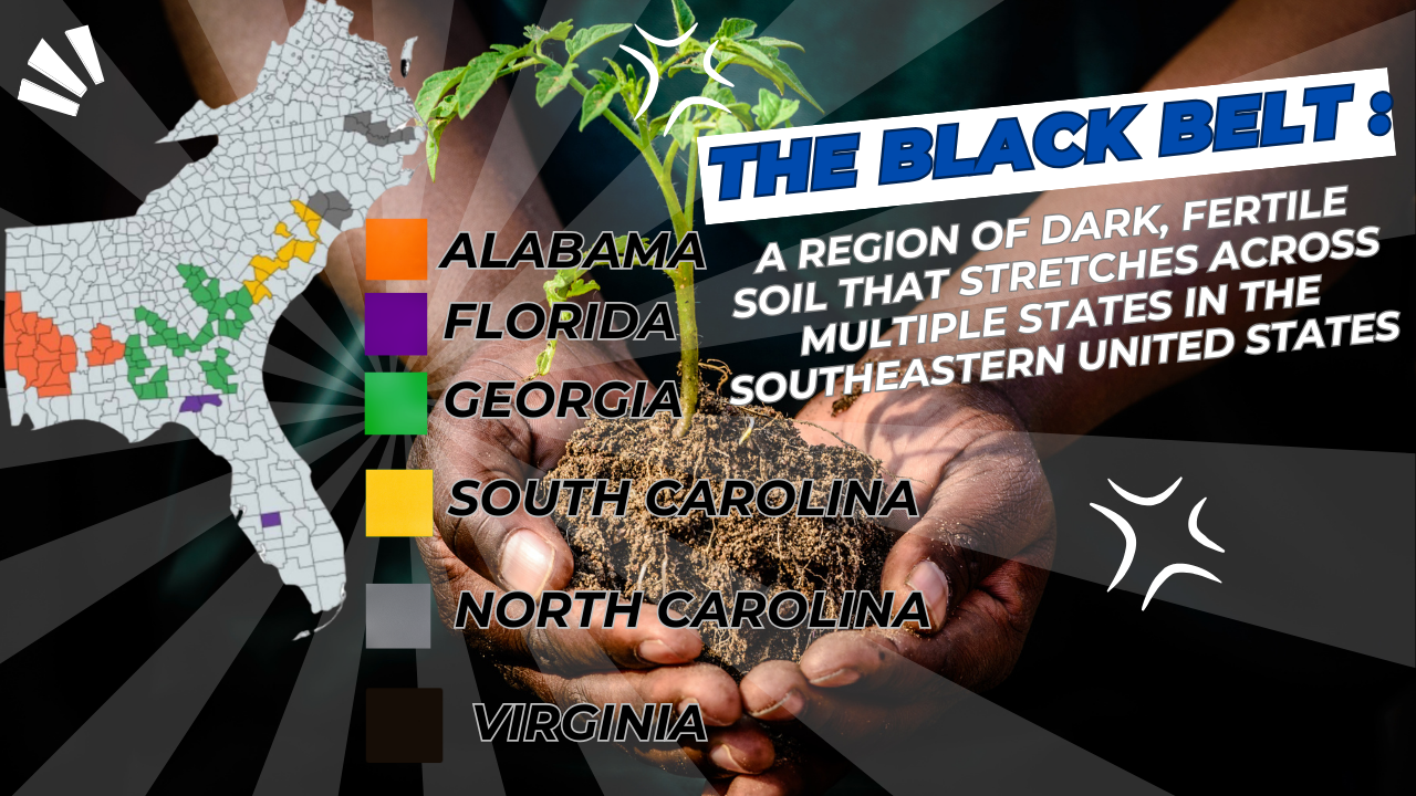 The Black Belt: A Journey Through History, Change, and Legacy