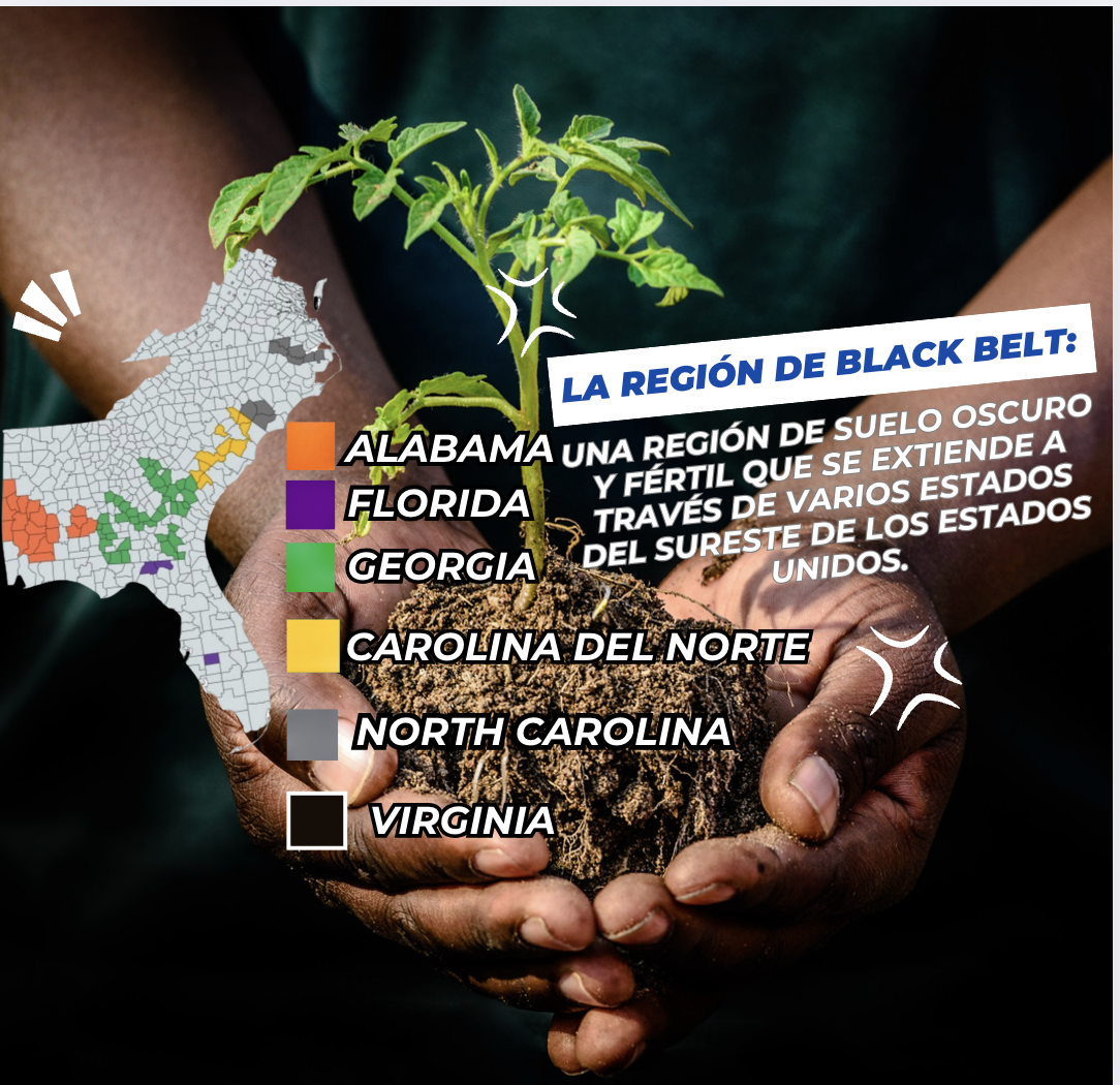 La Región del Black Belt: Historia y Cultura Afroamericana