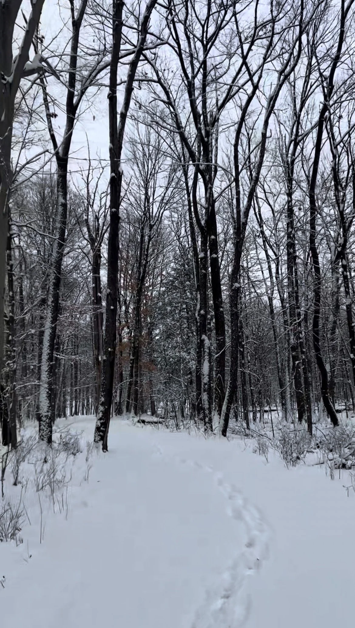 The Day I Decided to Become a Nurse