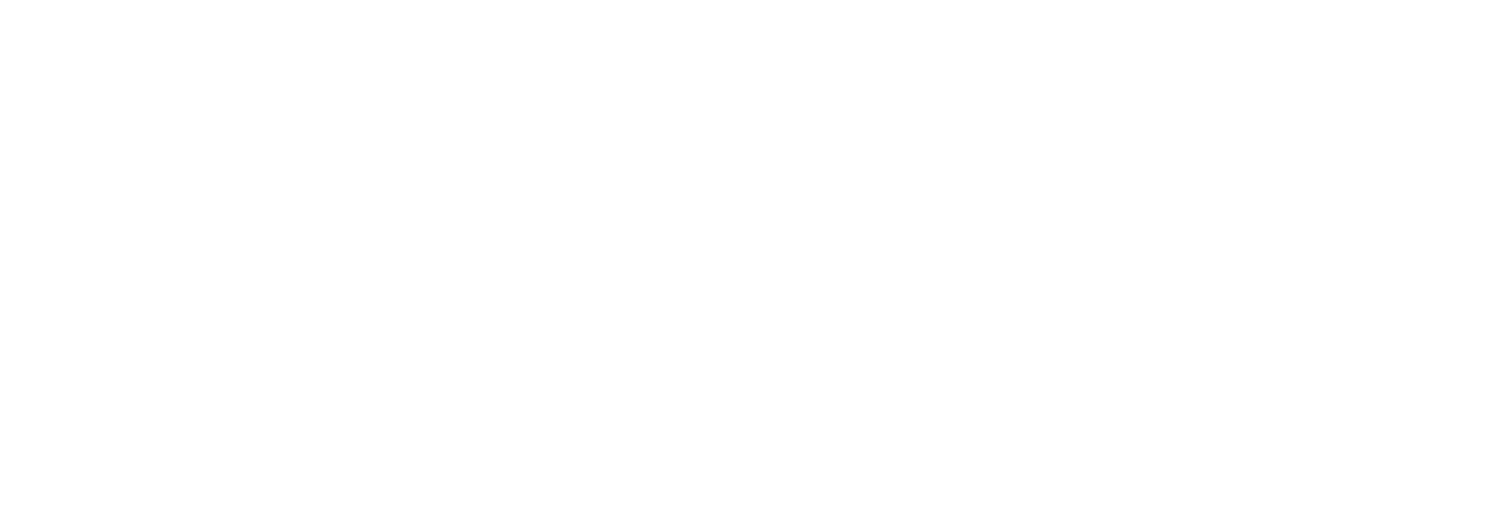 Vmax Triathlon