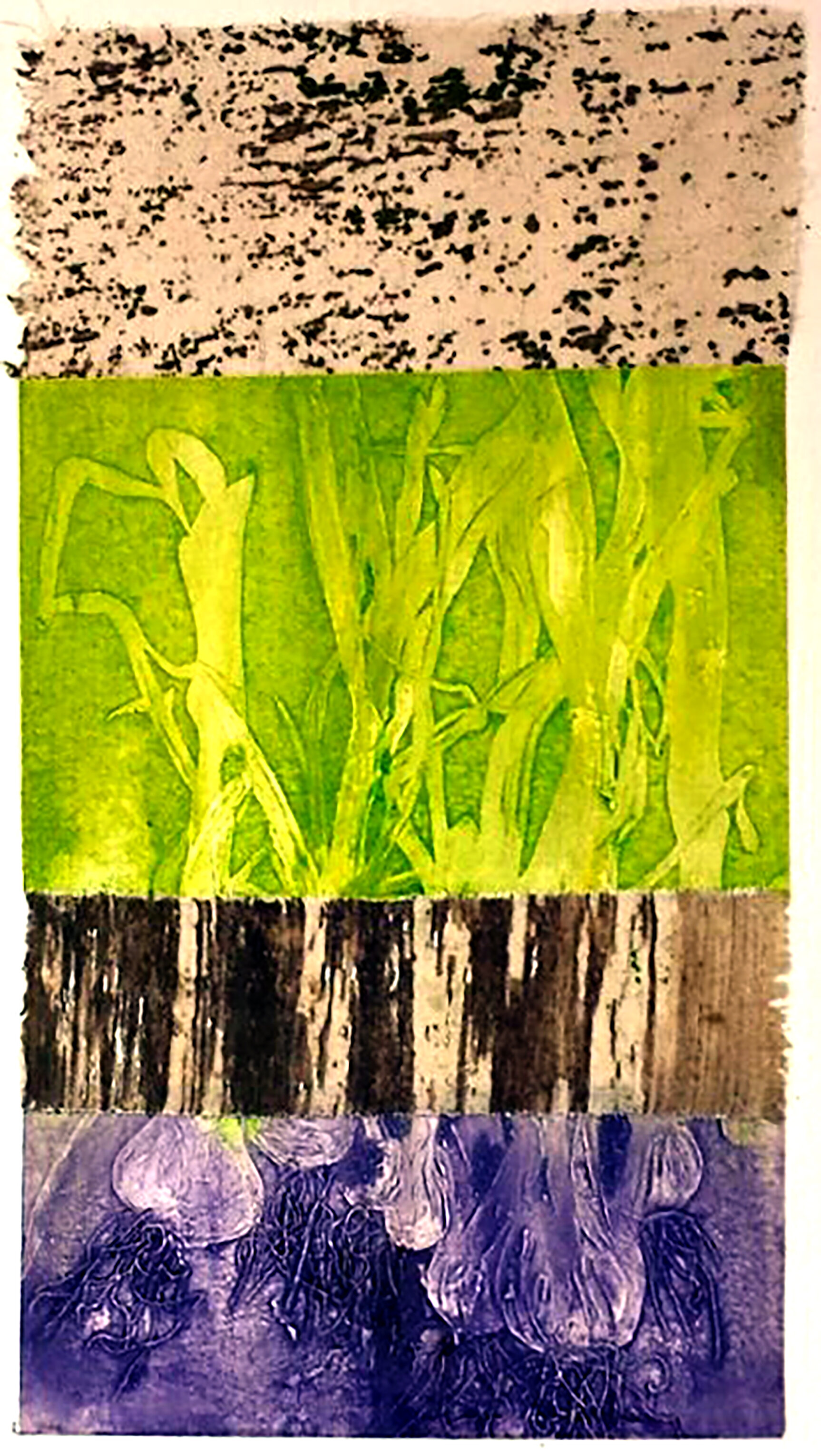 Collagraph 