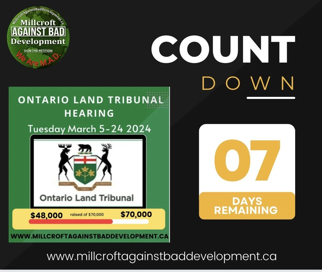 Help MAD Reach Fundraising Goal — Millcroft Against Bad Development